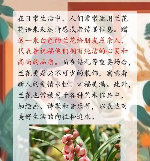 兰花的花语和寓意是什么？兰花的这些含义有何深意？