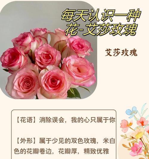 哪种玫瑰花语最能打动女朋友？